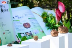 <b>《我国魔芋食物财产成长的察看取研究》：卫龙</b>